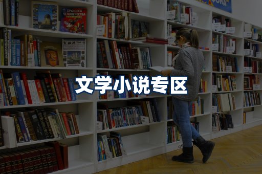 文学小说PDF展示